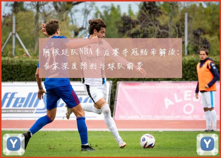 阿根廷队NBA季后赛夺冠赔率解读:专家深度预测与球队前景